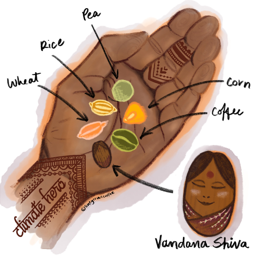 Graphic of Vanada Shiva's hand holding out some seeds.