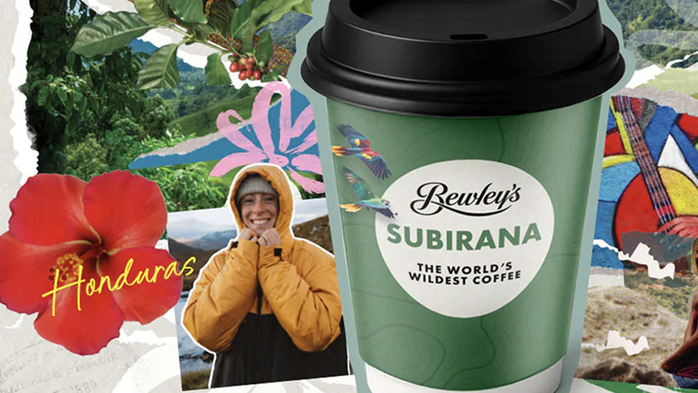 Image taken from the Bewley's Coffee & Tea website showing their branding on a take-out coffee cup