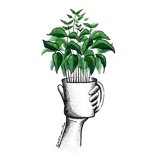 A sketch of a hand holding up a coffee mug with a coffee plant growing out of it.